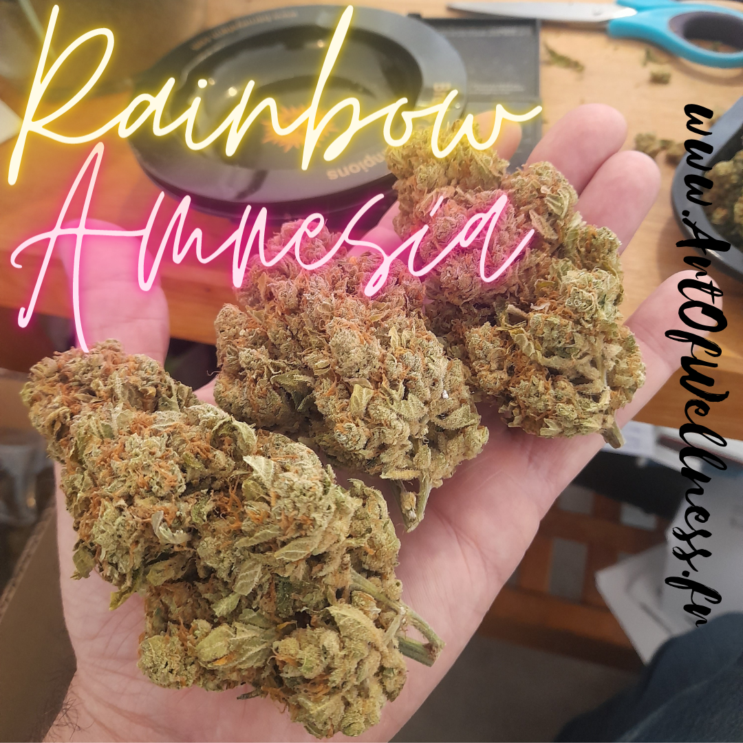 Rainbow Amnesia