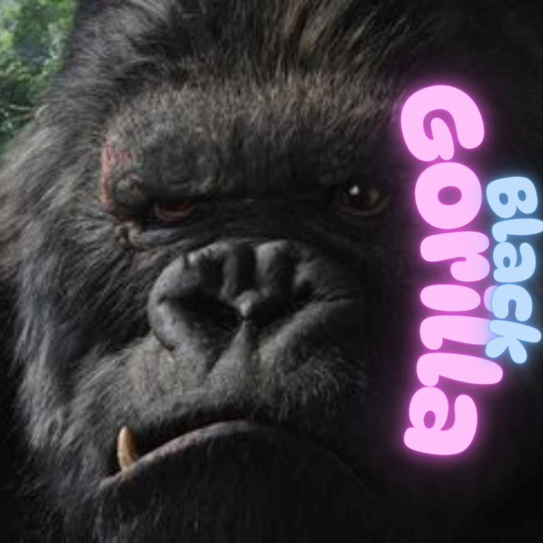 White, Black, Bubble et Frozen Gorilla 🦍
