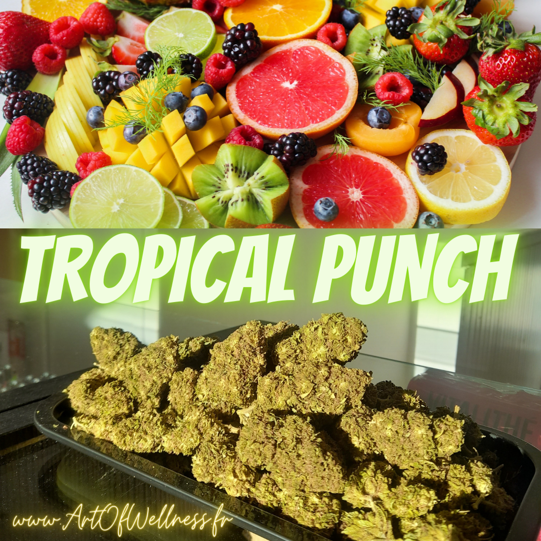 Tropical Punch